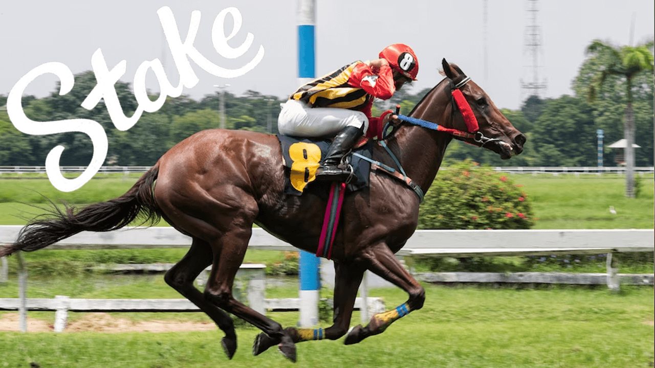 Zakłady na wyścigi konne